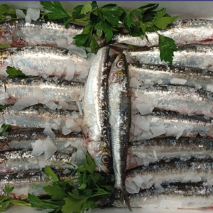 (Pack 3) SARDINADA MÍNIMO 2 PERSONAS O MÁS (fresco) 6 €