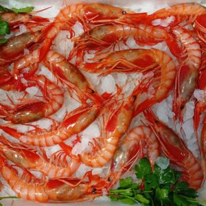 (Pack 4) GAMBA PALAMÓS ROSES OFERTA EXCLUSIVA (fresco) 59,90 €