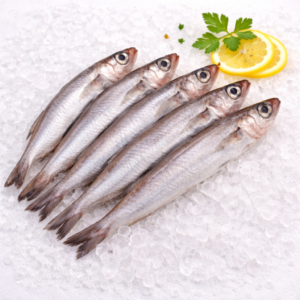 Maira de Rosas (fresco) 9,50 €/Kg