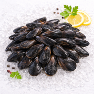 Mejillón Gallego (fresco) 4,90 €/Kg