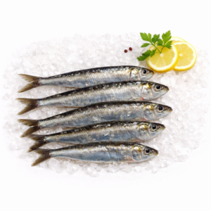 Sardina de Galicia (fresco) 9,90 €/Kg