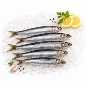 Boquerón de Costa Brava (fresco) 9,90 €/Kg