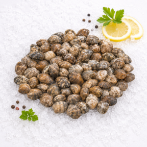 Almeja Japónica (fresco) 19,90 €/Kg