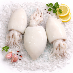 Sepia de Galicia (fresco) 17,90 €/Kg