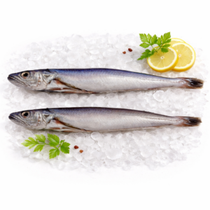 Pescadilla de Rosas (fresco) 18,90 €/Kg