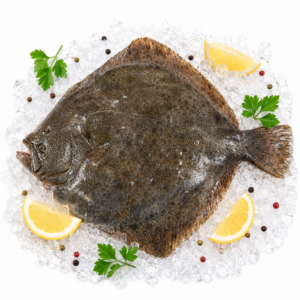 Rodaballo de Mediterráneo (fresco) 29,90 €/Kg