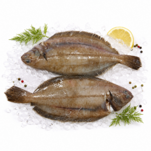Lenguadina de Rosas (fresco) 17,90 €/Kg