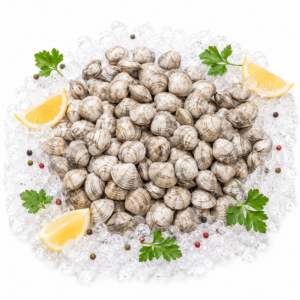 Chirla Italiana (fresco) 16,90 €/Kg