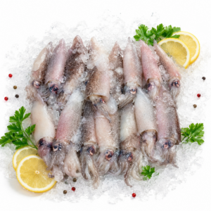 Chipirón de Taragonna (fresco) 18,90 €/Kg