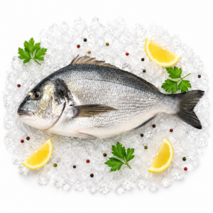 Dorada de Mediterráneo (salvaje) (fresco) 33,90 €/Kg