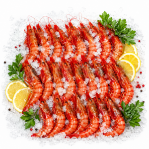 Gamba roja de Palamós (fresco) 59,90 €/Kg